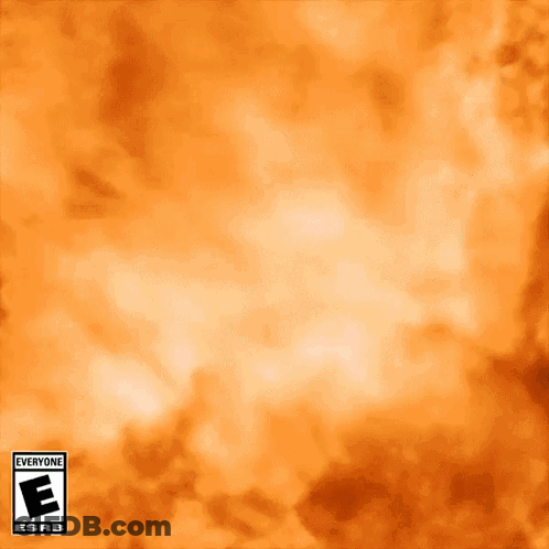 An Orange Background With A Warning Label That Says " Everyone " GIF