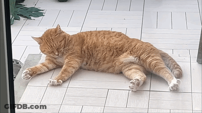 An Orange Cat Is Laying On A White Tile Floor GIF