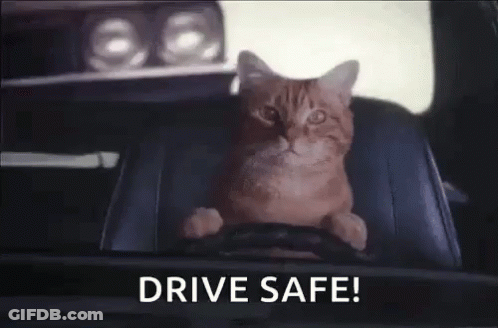 An Orange Cat Is Sitting In The Driver 'S Seat Of A Car And Holding The Steering Wheel . GIF