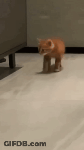 An Orange Kitten Is Walking On A White Tiled Floor GIF