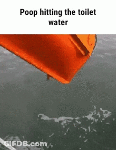 An Orange Pillow Is Floating In The Water With The Words Poop Hitting The Toilet Water Below It . GIF