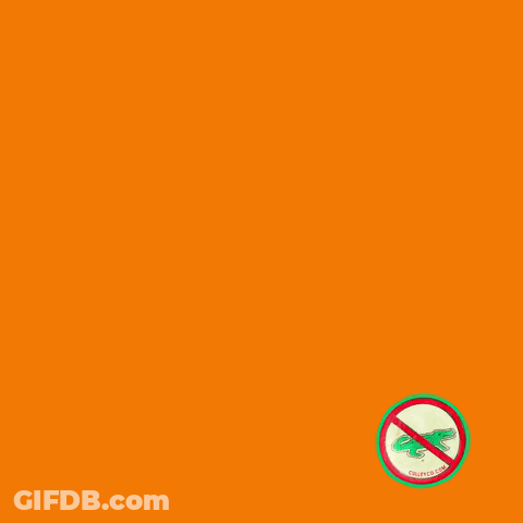 An Orange Sign Says Go Vols Beat Florida GIF