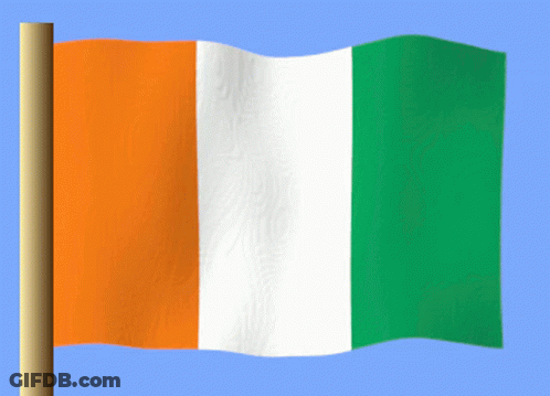 An Orange White And Green Flag Is Waving In The Wind Against A Blue Sky GIF