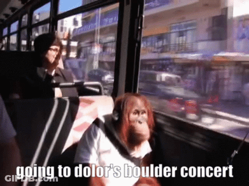 An Orangutan Is Sitting On A Bus With The Words Going To Dolor 'S Boulder Concert Below It GIF