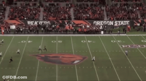 An Oregon State Football Game Is Being Played GIF