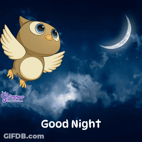 An Owl Is Flying In The Night Sky With The Words Good Night Written Below It GIF