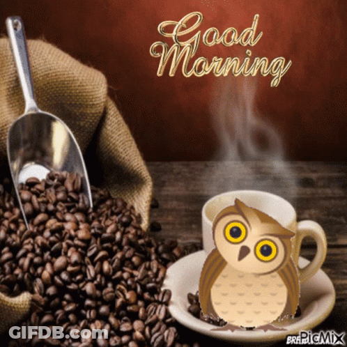 An Owl Is Sitting On A Saucer Of Coffee Next To A Bag Of Coffee Beans GIF