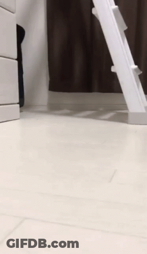 An Owl Is Standing On Its Hind Legs Next To A White Ladder GIF