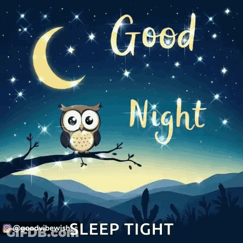 An Owl Sitting On A Branch With The Words Good Night GIF