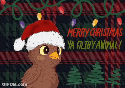 An Owl Wearing A Santa Hat With The Words Merry Christmas Ya Filthy Animal Below It GIF