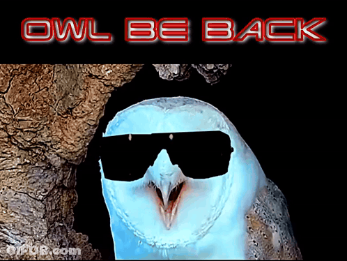 An Owl Wearing Sunglasses With The Words " Owl Be Back " Below It GIF