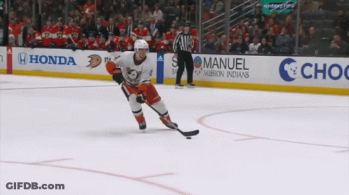 Anaheim Ducks Isac Lundestrom GIF