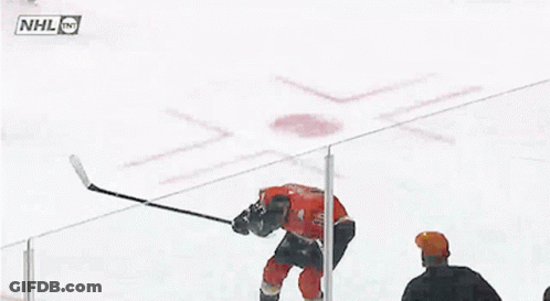 Anaheim Ducks Trevor Zegras GIF