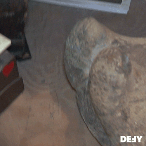 Ancient Dinosaur Bone Artifact Found GIF