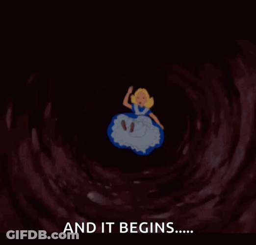 And It Begins Rabbit Hole GIF