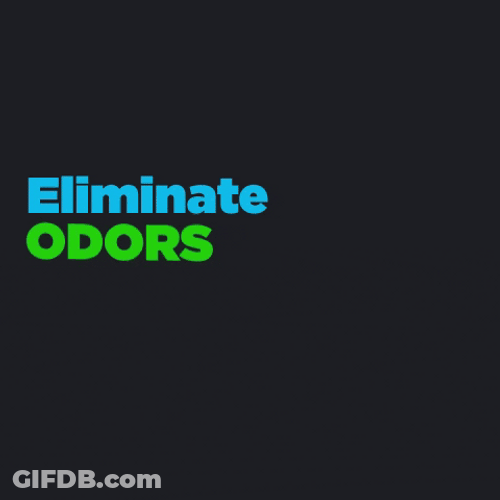 And Its Odor Gone GIF