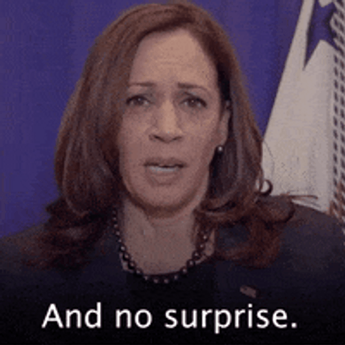 And No Surprise Kamala Harris GIF