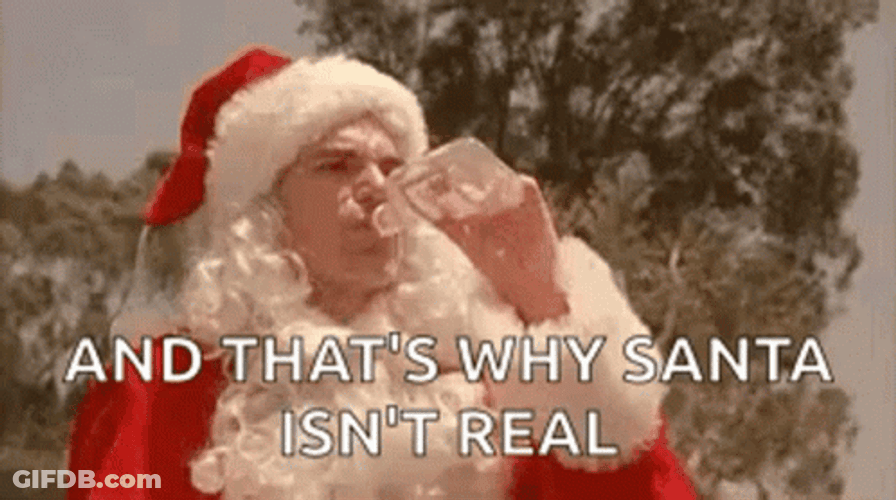 And That's Why Drunk Santa Isn't Real GIF