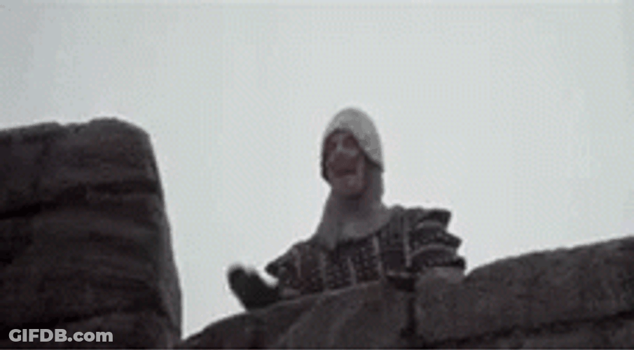 And There Was Much Monty Python Rejoicing GIF
