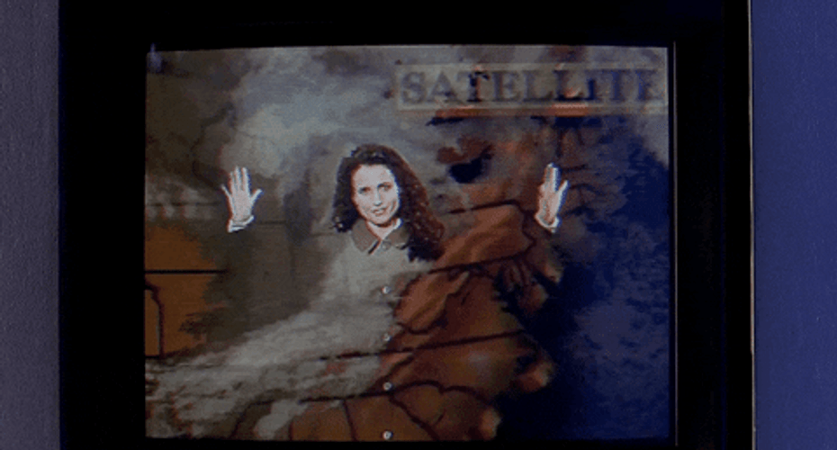 Andie Macdowell Green Screen Forecast GIF
