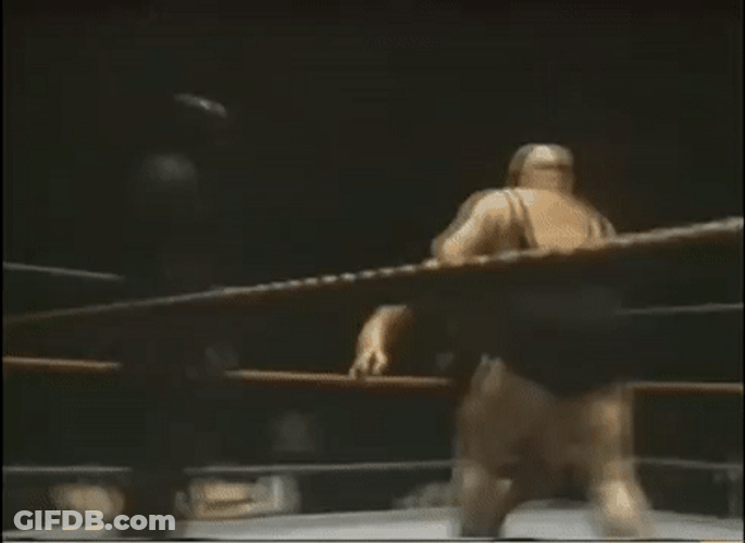 Andre The Giant Carrying Hulk Hogan GIF