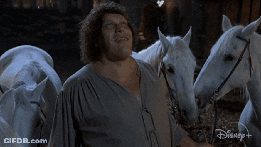 Andre The Giant Hello Lady GIF