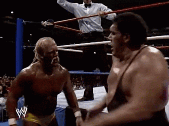 Andre The Giant Punch GIF
