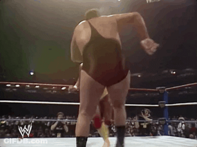Andre The Giant Versus Hulk Hogan GIF