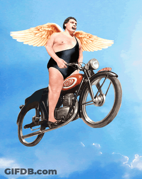 Andre The Giant With Wings GIF