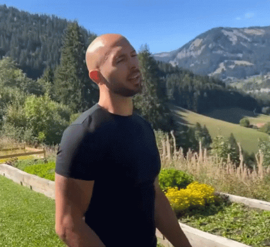 Andrew Tate Go Away Gesture GIF