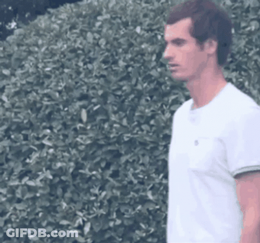 Andy Murray Catching A Ball GIF