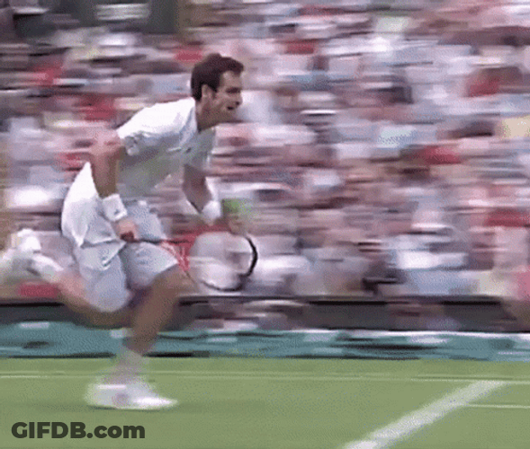 Andy Murray Hit By Ball GIF