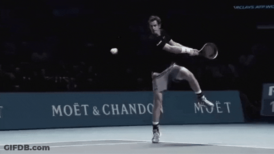 Andy Murray In Flight GIF
