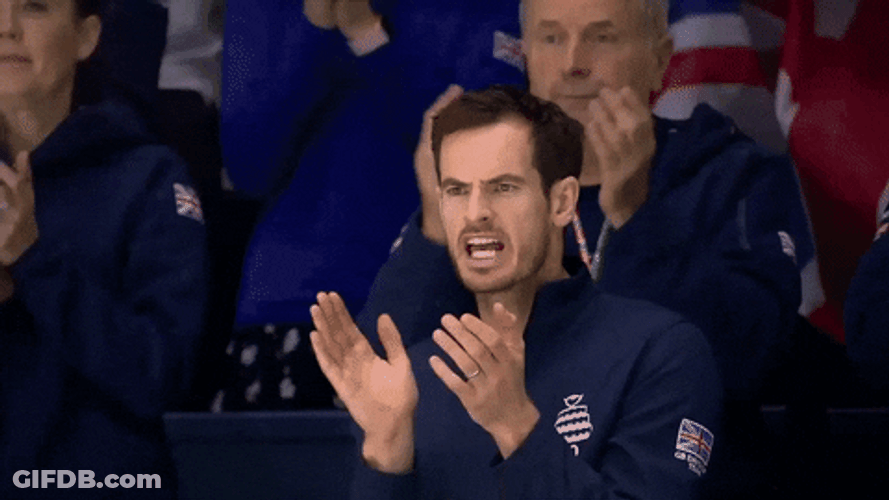 Andy Murray In The Audience GIF