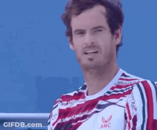 Andy Murray Okay Thumbs Up GIF