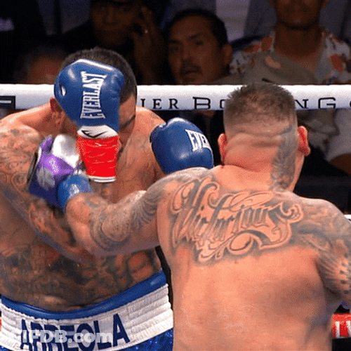 Andy Ruiz Boxing Fight GIF