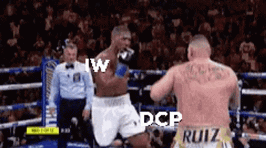 Andy Ruiz Boxing Meme GIF