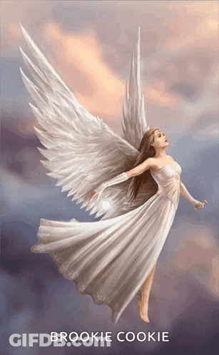 Angel Brookie Cookie GIF