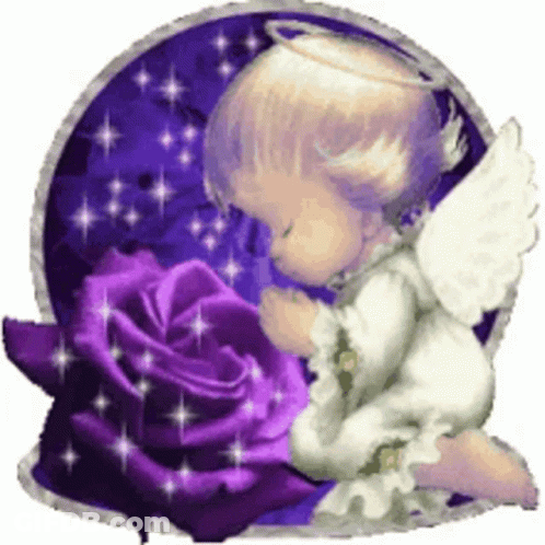 Angel Kneeling With Purple Rose GIF