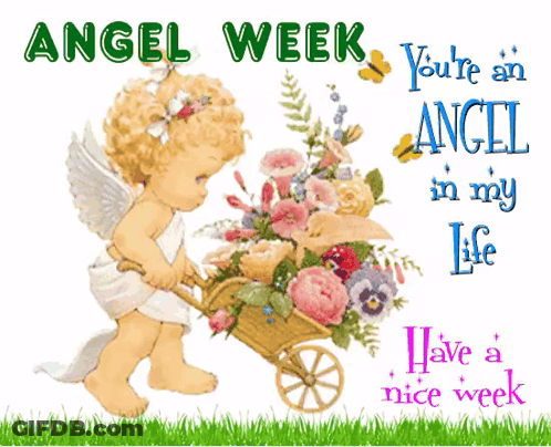 Angel Pushing Wheelbarrow Of Flowers Saying Angel Week GIF