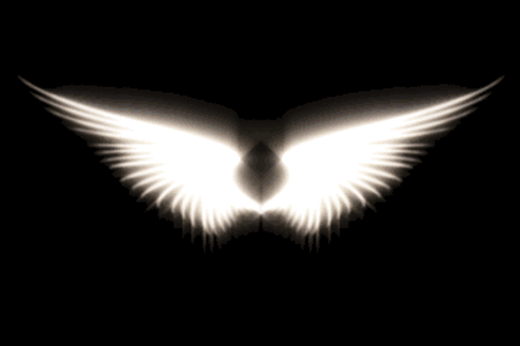 Angel's Wings Moving GIF