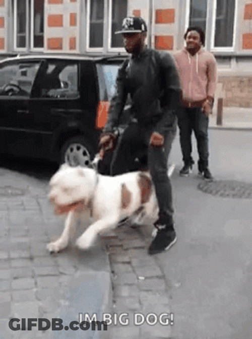 Angry American Big Dawg GIF