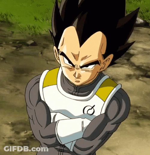 Angry Anime Vegeta GIF