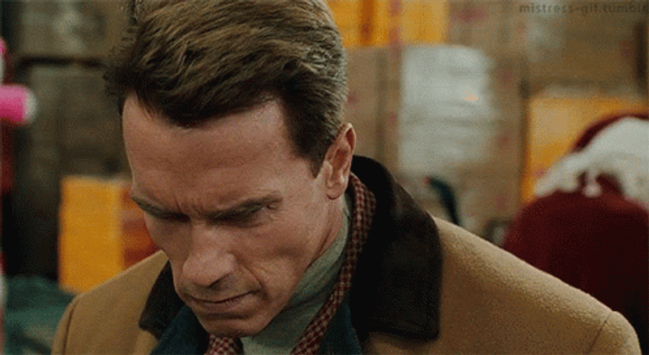 Angry Arnold Schwarzenegger Jingle All The Way GIF