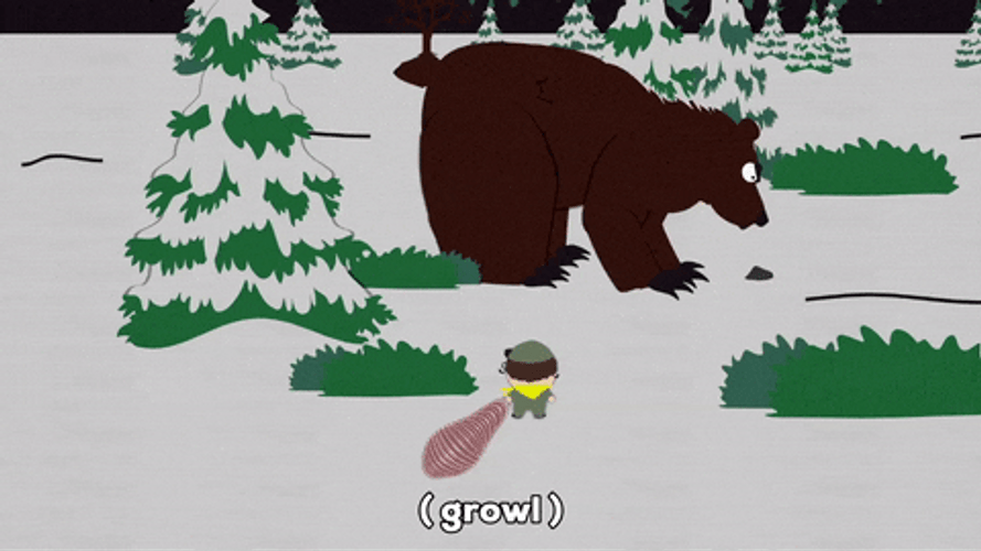 Angry Bear Fight South Park GIF