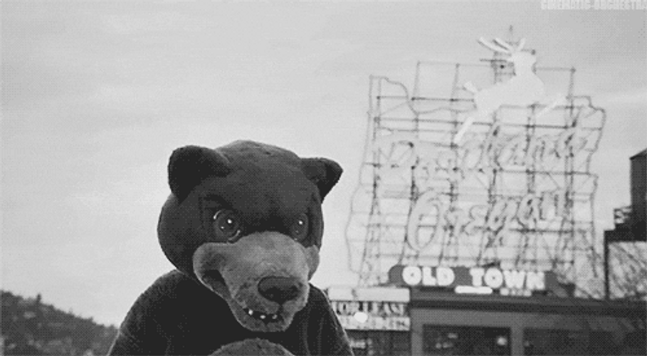 Angry Bear Walking Black And White GIF