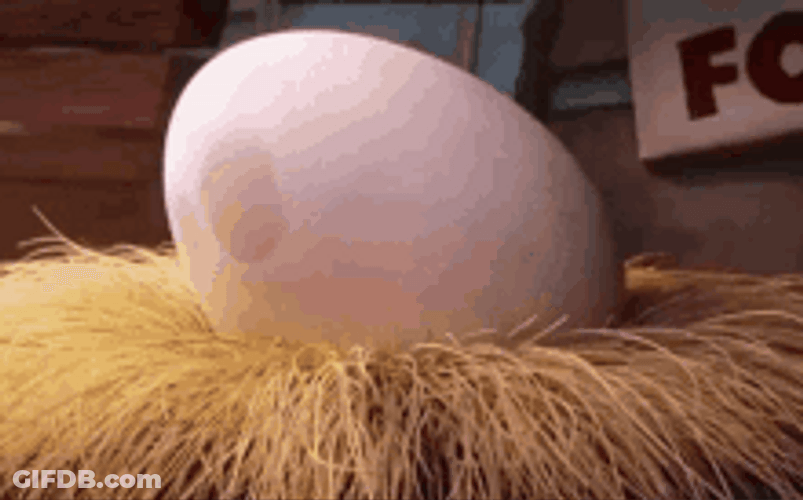 Angry Bird Breaking Into It's Egg GIF