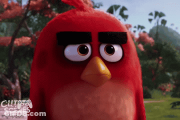 Angry Bird Close Up From Movie GIF