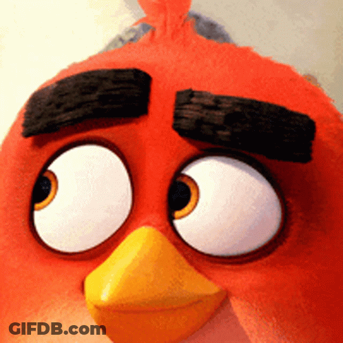 Angry Bird Close Up With Big Eyes And Yellow Beak GIF