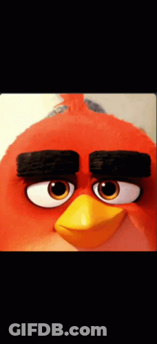 Angry Bird Eyes And Beak Close Up GIF